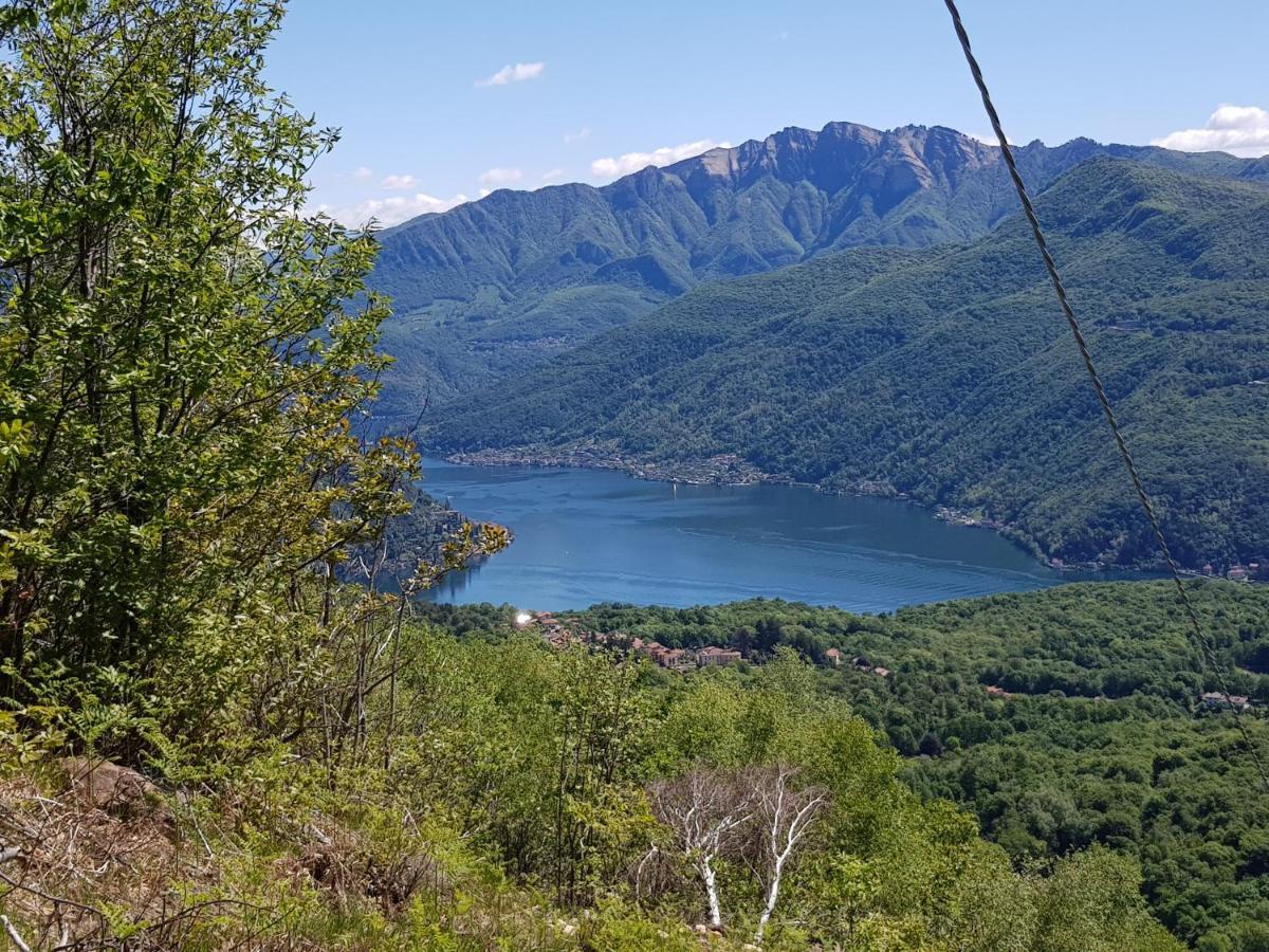 Villa Paradiso Cuasso Al Monte Екстериор снимка